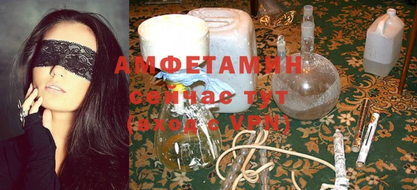дживик Ельня