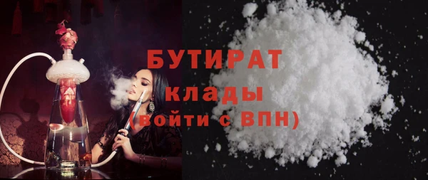 дживик Ельня
