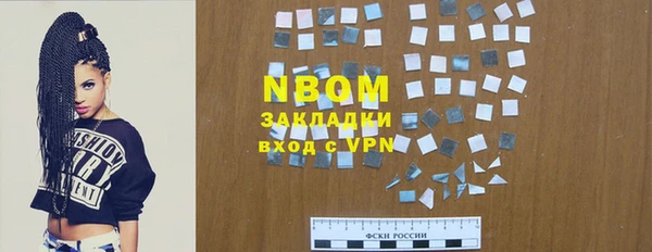 стафф Елизово