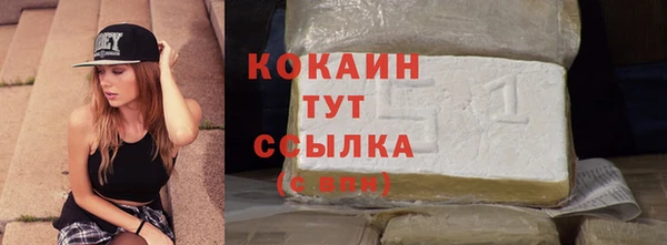 стафф Елизово