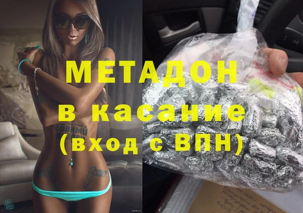 дживик Ельня
