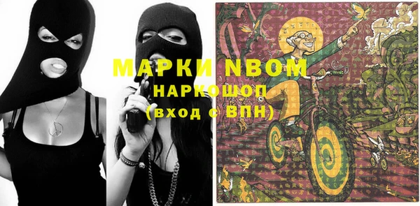 дживик Ельня
