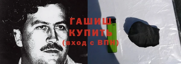 гидра Елабуга
