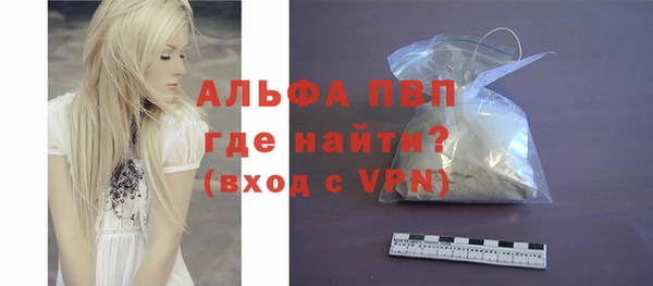 гидра Елабуга