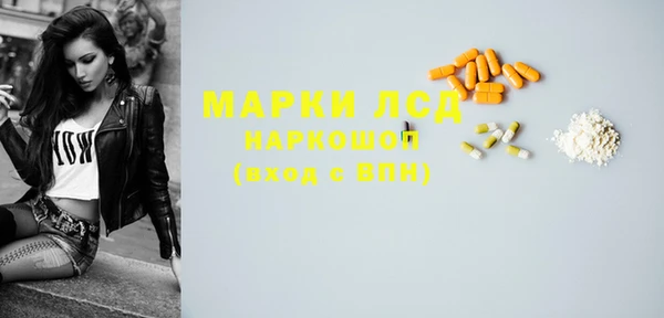 гидра Елабуга