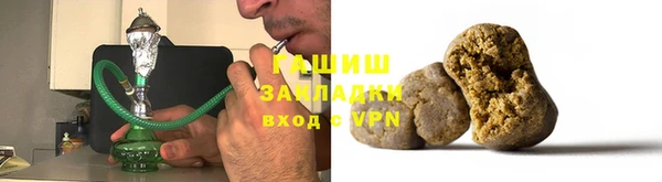 дживик Ельня