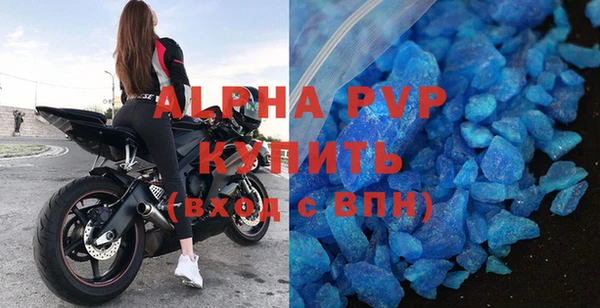 дживик Ельня