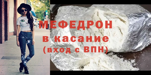 дживик Ельня