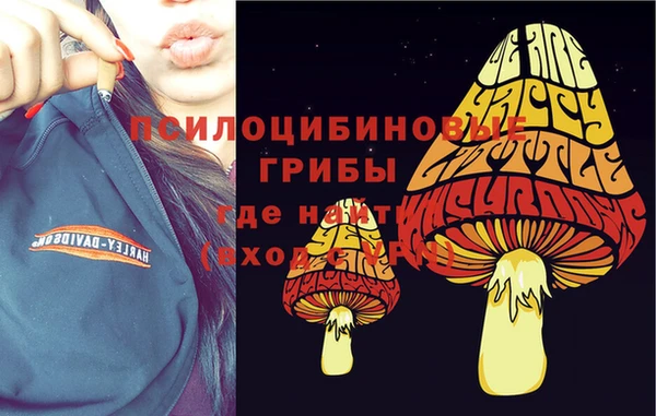 гидра Елабуга
