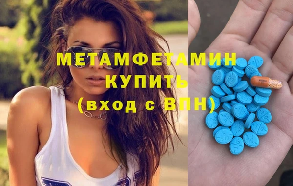 дживик Ельня
