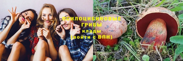 дживик Ельня