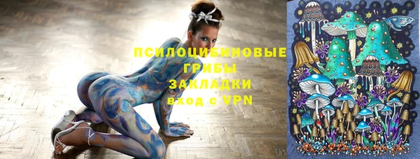 стафф Елизово