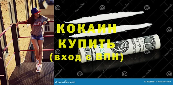 стафф Елизово
