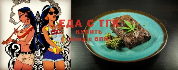 гидра Елабуга