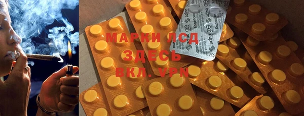 дживик Ельня