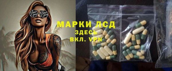 дживик Ельня