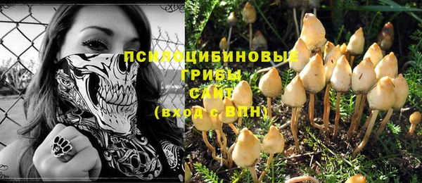 дживик Ельня