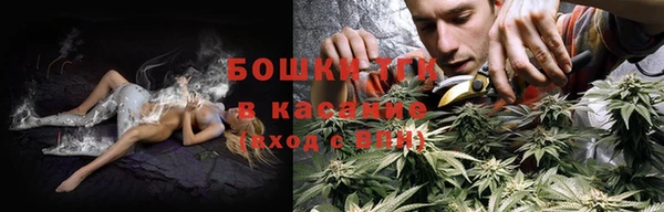 стафф Елизово
