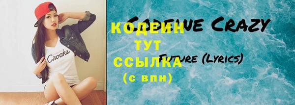 гидра Елабуга