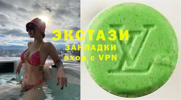 гидра Елабуга